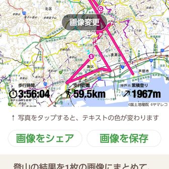 今日のヤマ●コ……なんでこんなコトに🤣