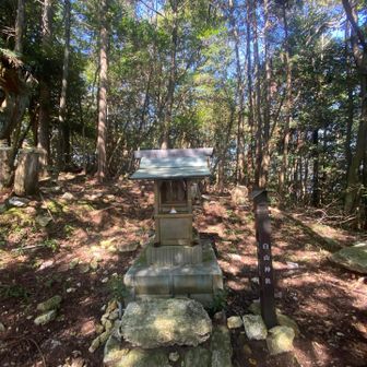 白山神社⛩️