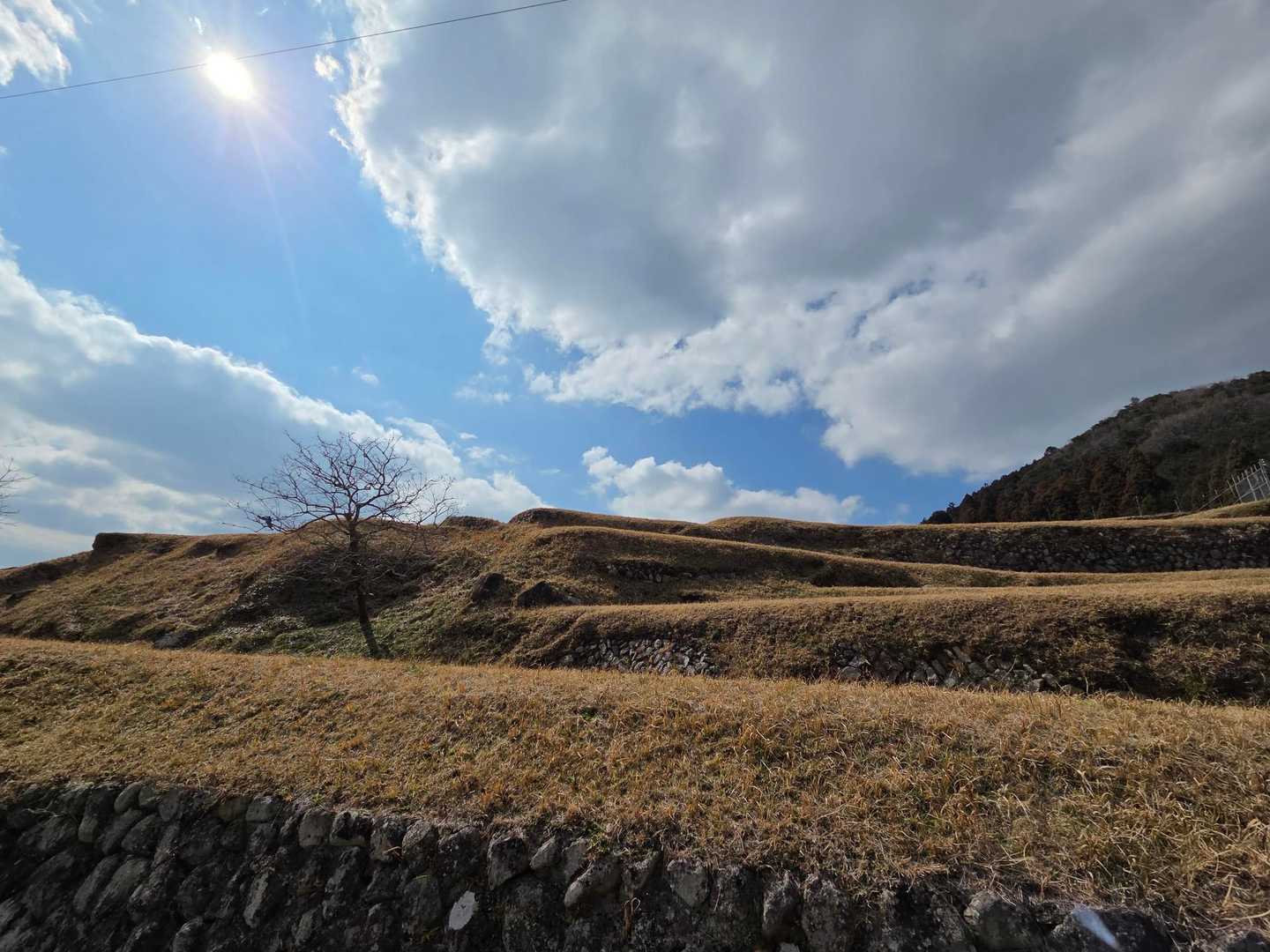 棚田