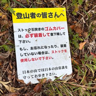 ホントそれ‼️