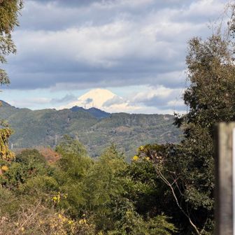 川合山から富士山🗻