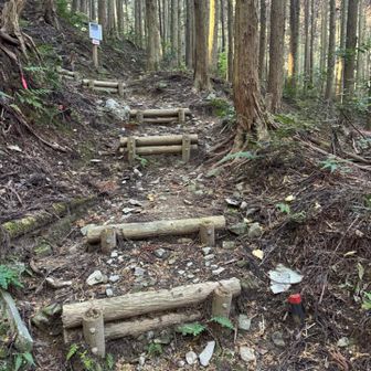 ここからは山道です