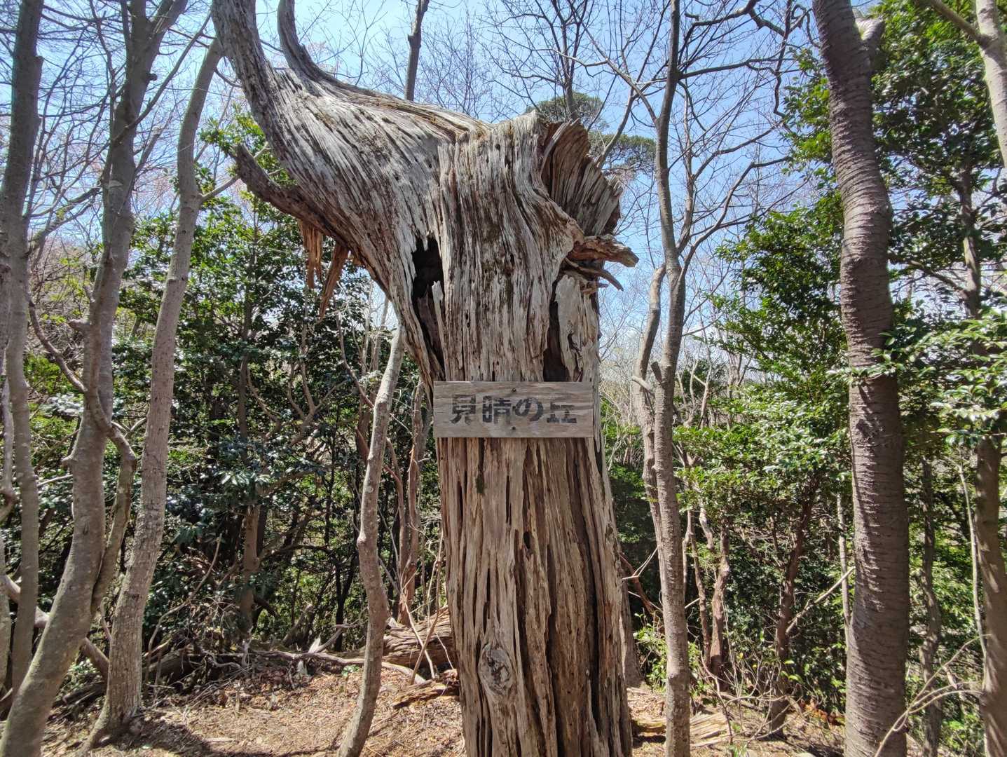 すぐ近くの見晴の丘へ
