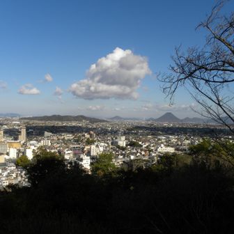 テンコ☀まずまず♪