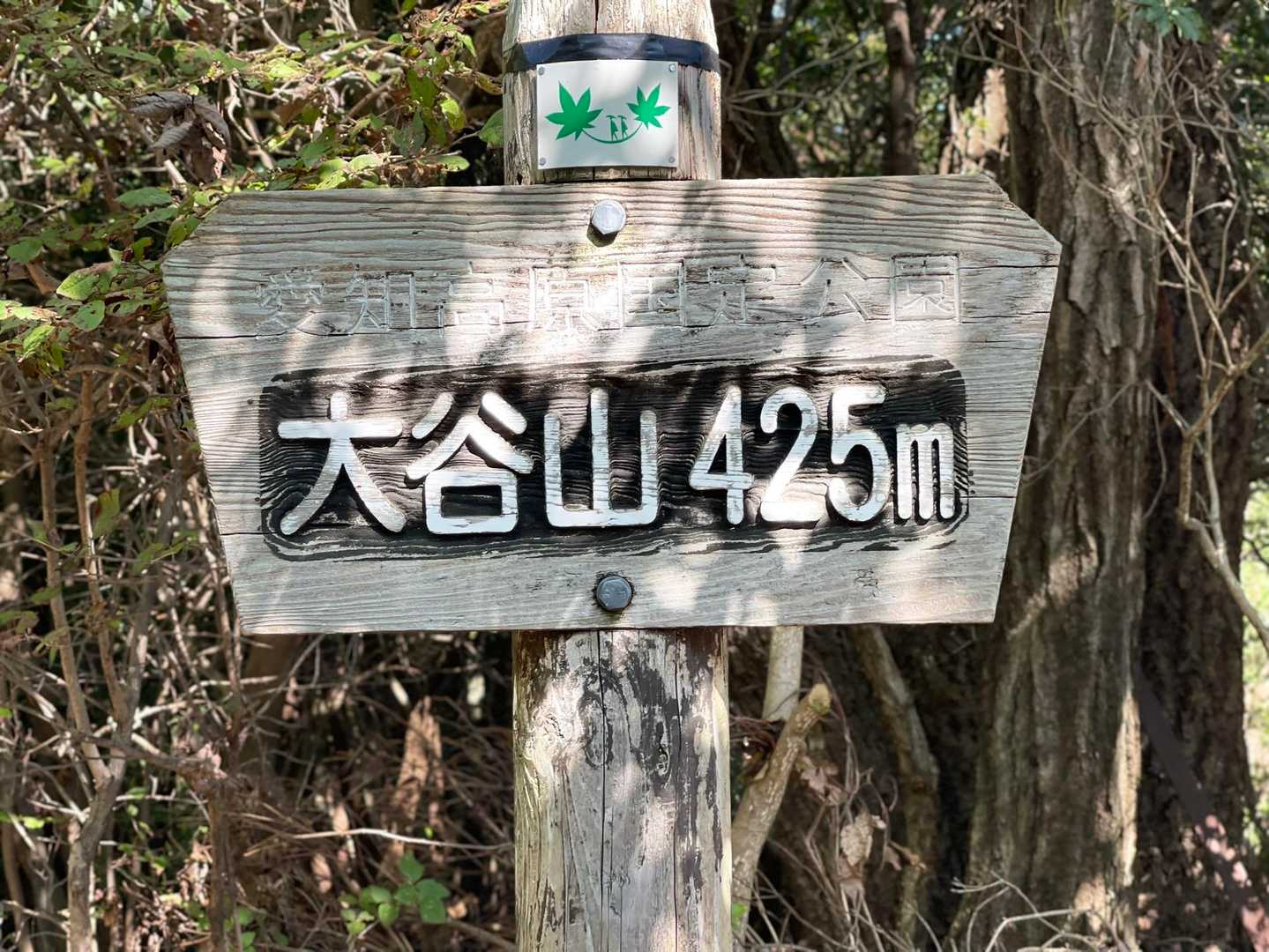 無事に登頂⛰️尾てい骨もふくらはぎも痛みはありませんでした◎そろそろ負荷を上げていってもいい頃でしょうか🤭