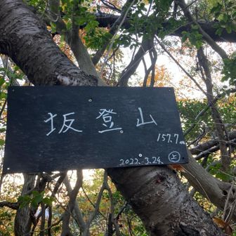 坂を登る山って⁉️登らんでいい山があるんかい〜🙄