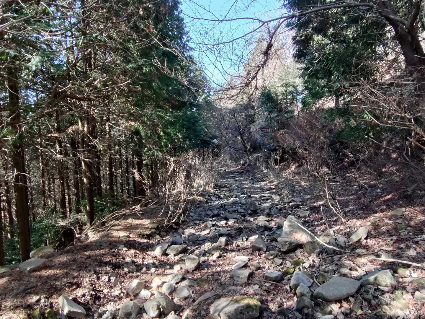 揺ヶ池コース登山口-俵山 周回コースの写真