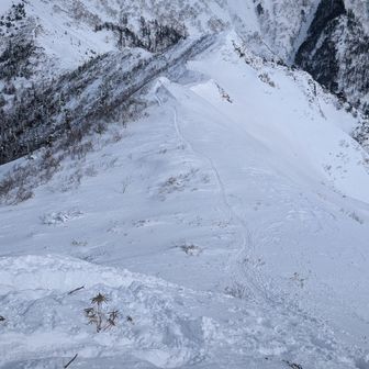 頂上までのルートもしっかりあり助かります