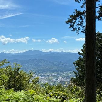 ここからの景色が好きなんやけど、草が多すぎてあんまり見えん