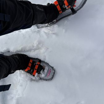 途中までスノーシュー