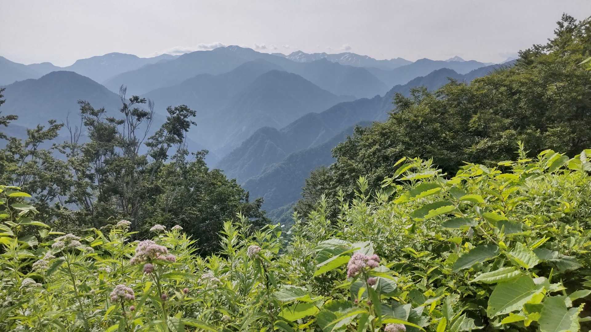 幾重にも重なる山なみ