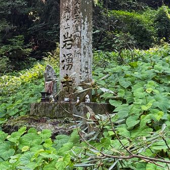 秋海棠の葉に埋もれ岩湧寺の裏の斜面にひっそりと佇む石碑とお地蔵様🙏「文武天皇勅願所」中央に｢元山上　岩湧寺｣と刻まれている。 調べてみると岩湧寺は大宝年間(701～704)に修験道の開祖・役小角が開基、後に文武天皇の勅願寺に定められ山伏の修験道場として栄えたとの事。かなり古そうなこの石碑はその当時に建てられたのだろうか🤔