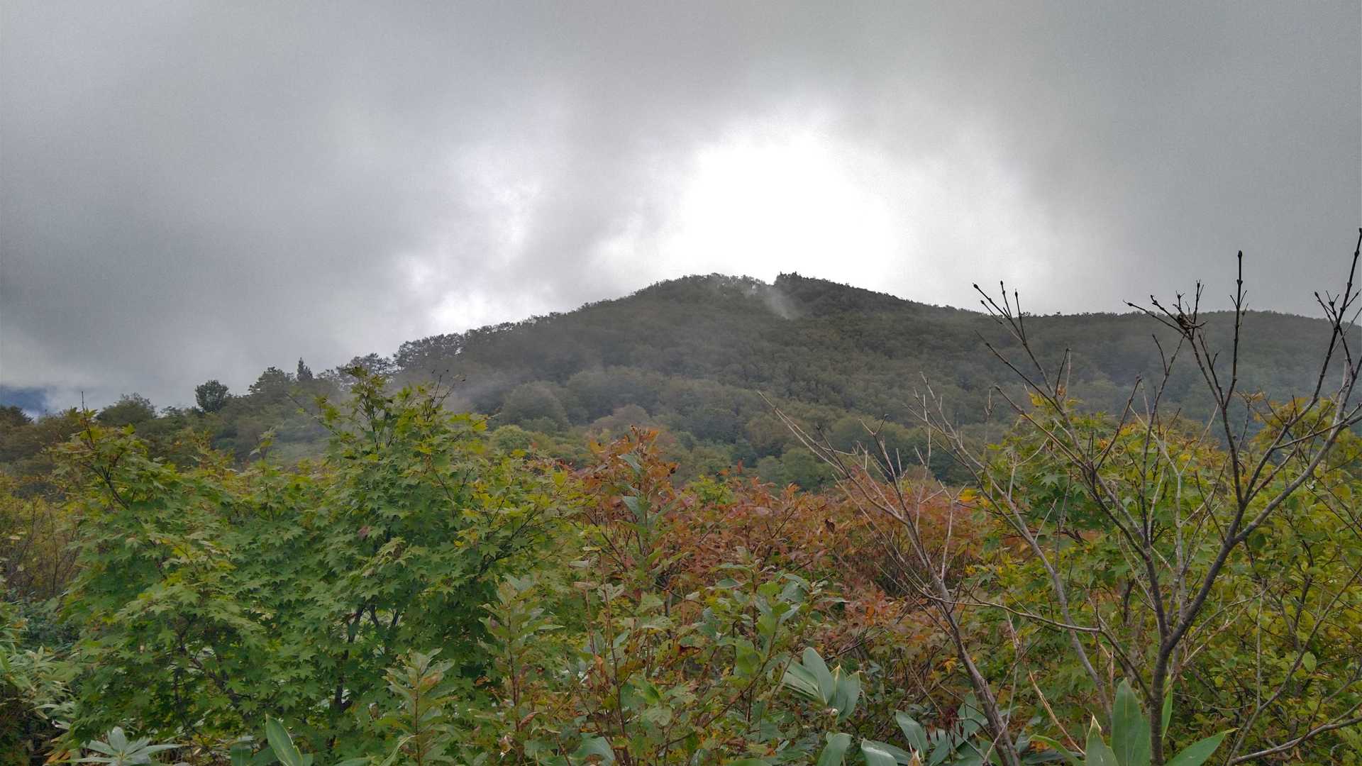 黒森山-御嶽山 周回コースの写真