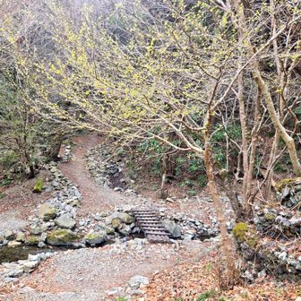 分岐
広く開けた場所
ベンチとテーブルあり
ここから景信山へ登れるようです⛰️