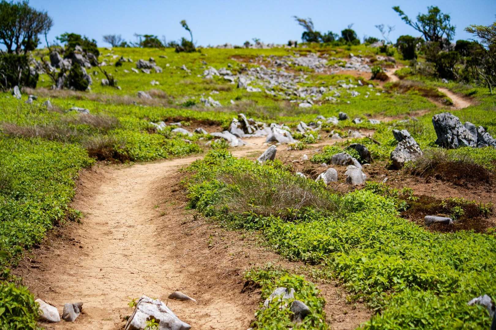 藤原岳登山口-藤原岳-天狗岩-頭陀ヶ平 往復コースの写真