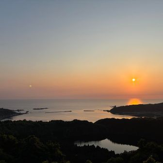 かりん