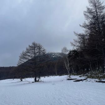 天気大丈夫そ？