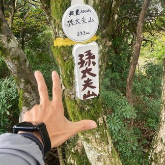 孫太夫山登頂⛰️