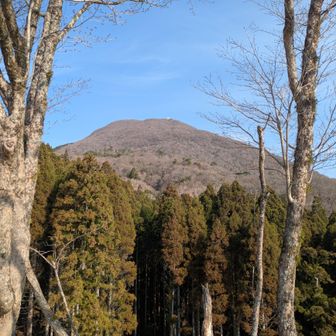 駐車場から頂上見えてる
この辺りでガサガサと音がしてギョっとしたら、鹿が2頭🦌🦌走り去って行きました。こちらが驚かせたのね