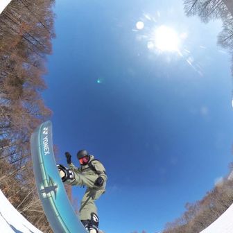 のらねこふぉとす