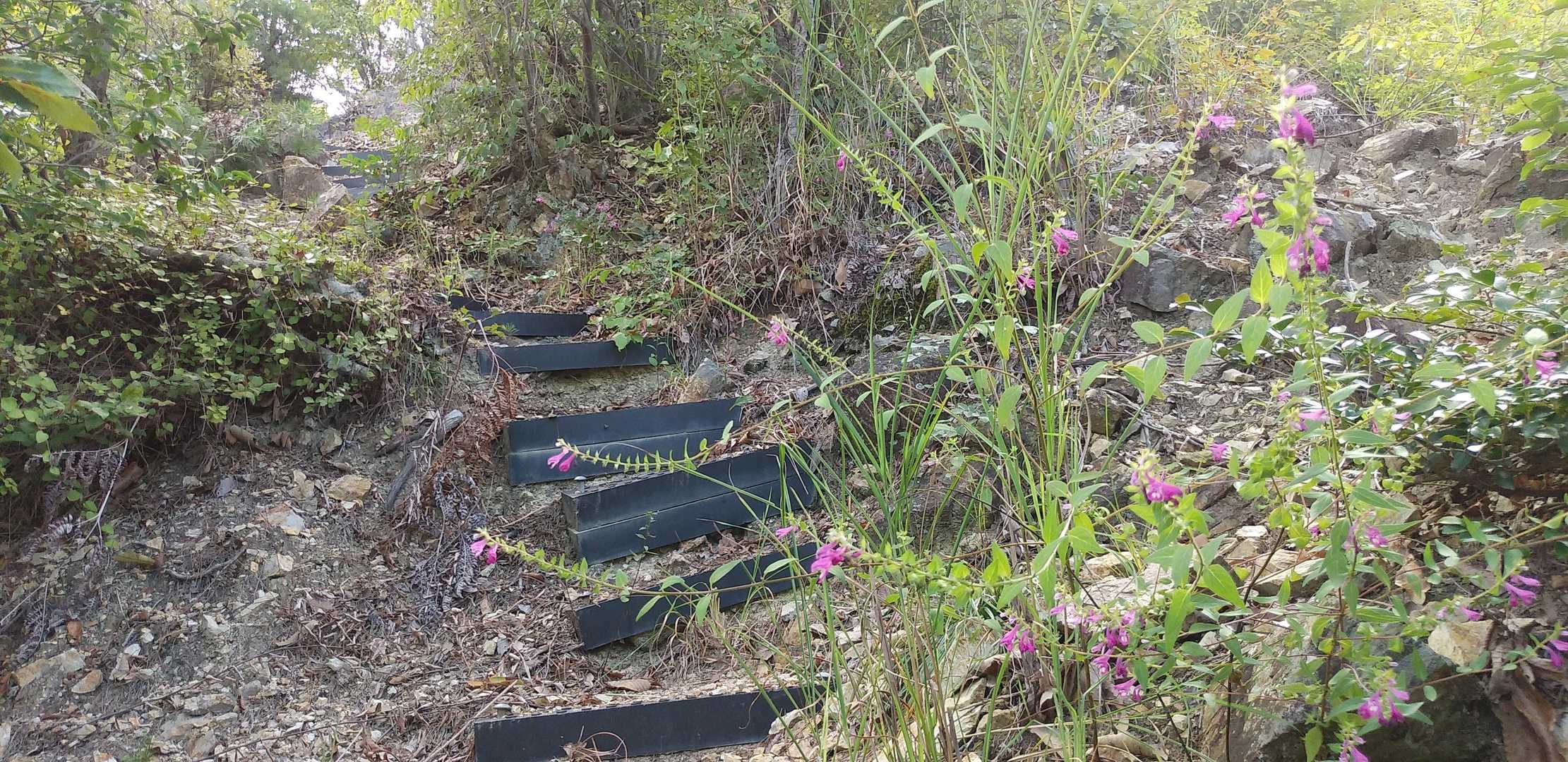 ここからほんの少し登山道