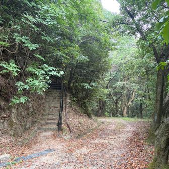 小雨が降ってきたけど、ちょい濡れ程度なんで登りますよー