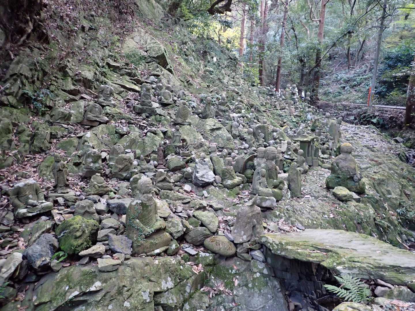 清水山 往復コースの写真