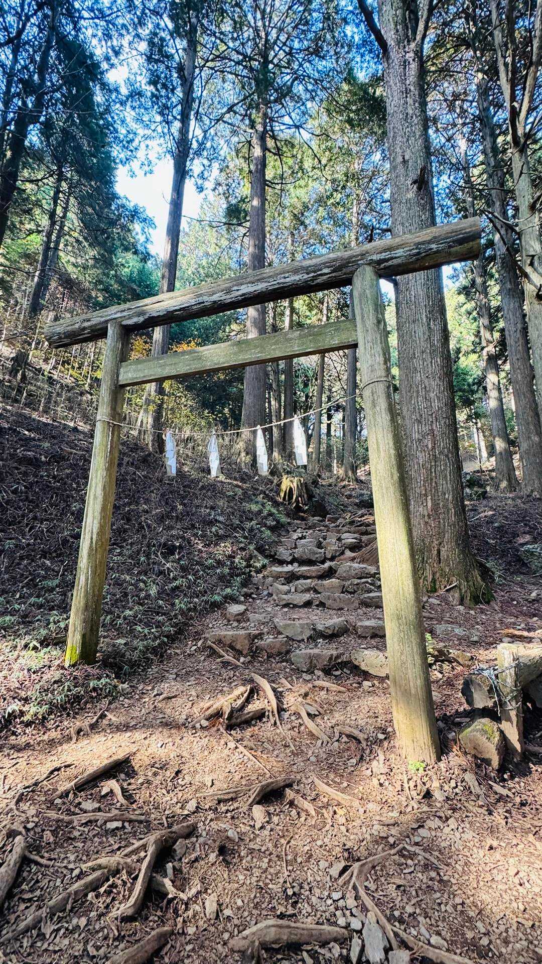 奥多摩駅〜御岳山駅｜大岳山・御岳山＋主要4座縦走コースの写真