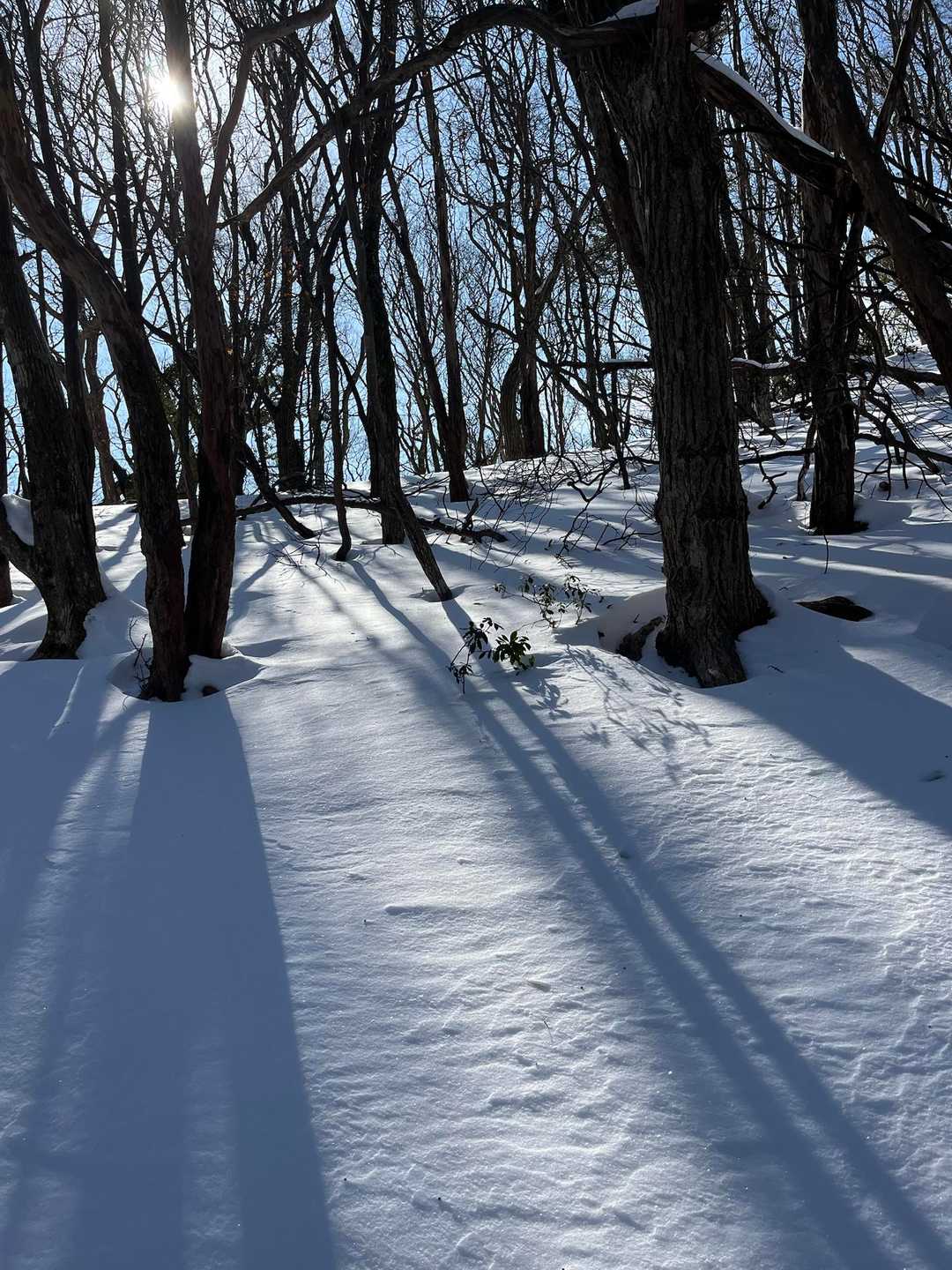 わぁー、きれー✨
あんまり写真上手くないけど
❄️🫧雪
🔥光
🟦青空
相性抜群です