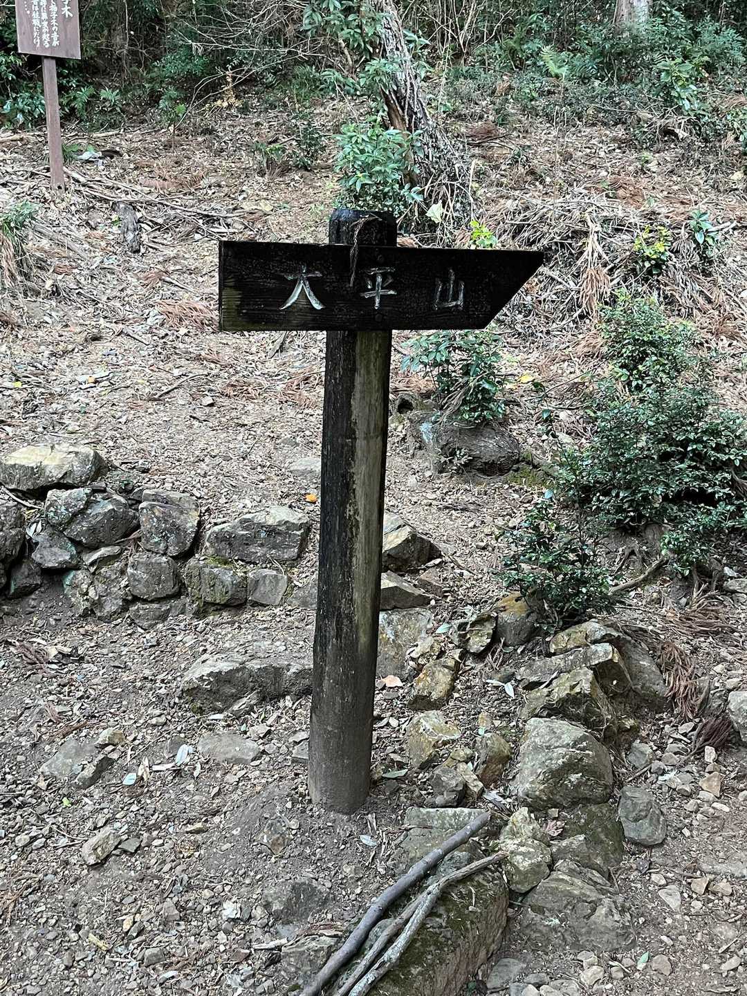 お参りして早速大平山に向かいます。