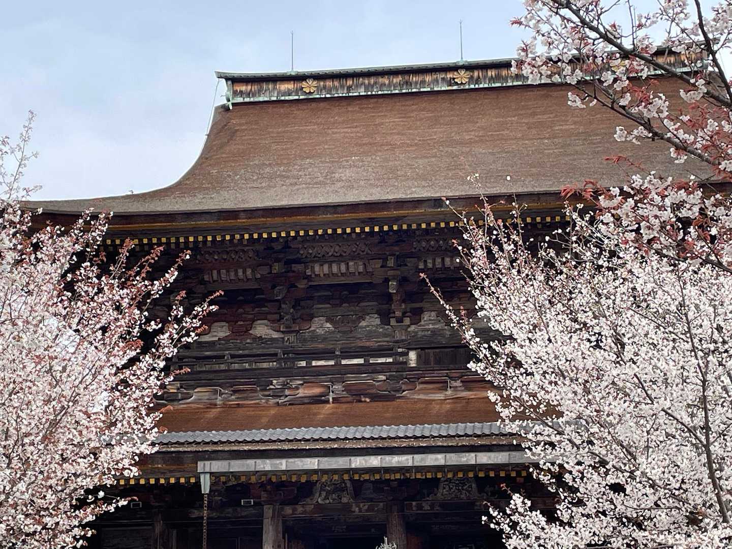 金峯山寺-韋駄天山-吉水神社 往復コースの写真