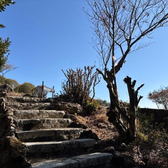 階段登ると遊歩道😃