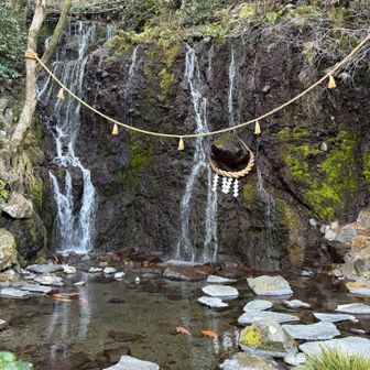 イイ感じですね