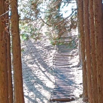 なんか神々しい