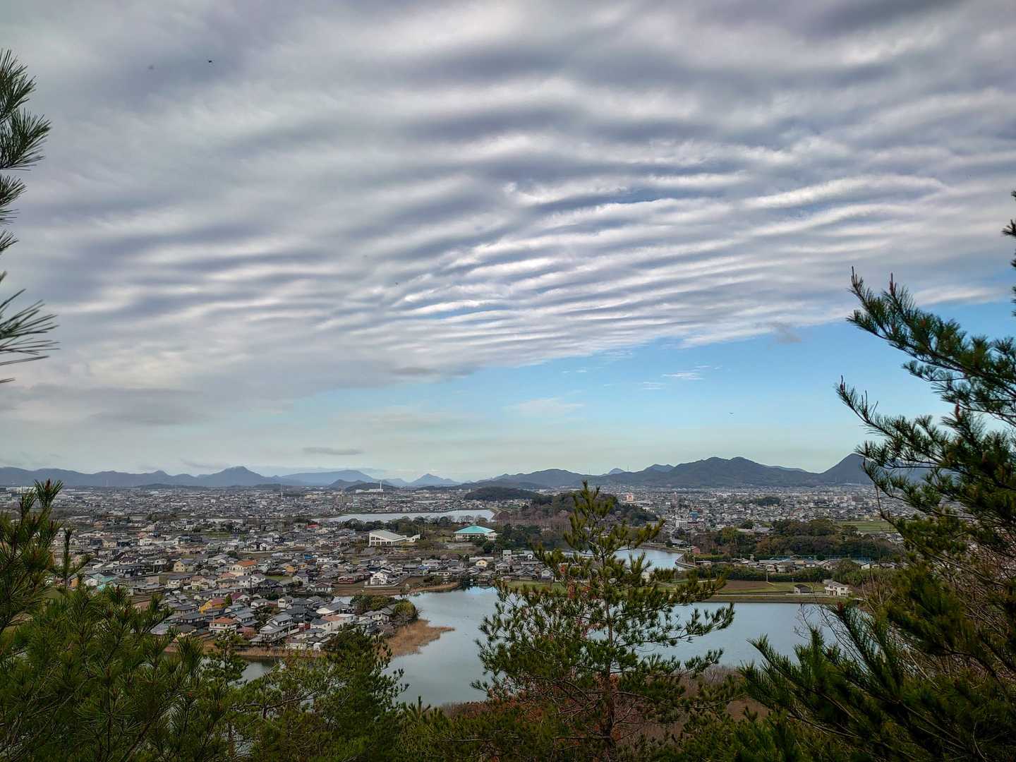 今朝の雲は変わってるね…