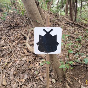 ひこにゃん🐱
あ、違った、しまねっこ❗笑
すかい隊長ですね😁
そしてー