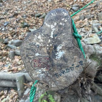 俺もチカレタビー