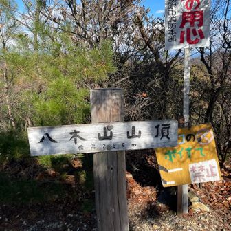 各務原アルプス（関南アルプス）・八木三山 八木山