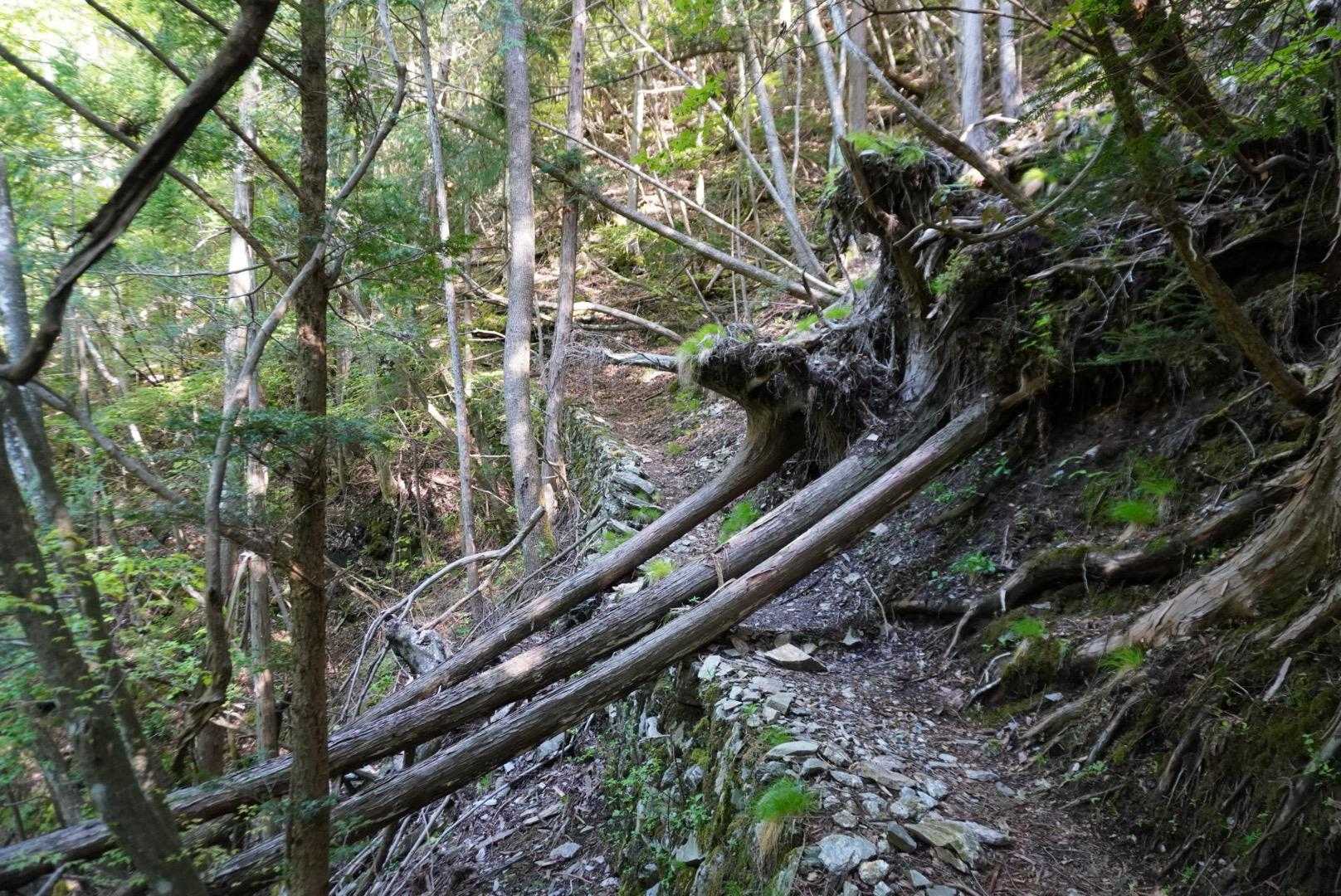 通せんぼ
