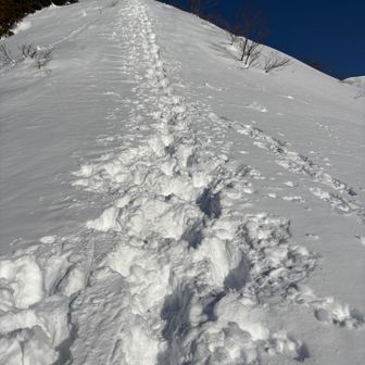 真っ直ぐなトレースは見ているだけでしんどい