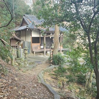 間違えて下りてきたけど