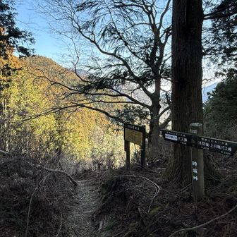 時坂峠まできました
山の切れ間から都内のビル群が見え始めました