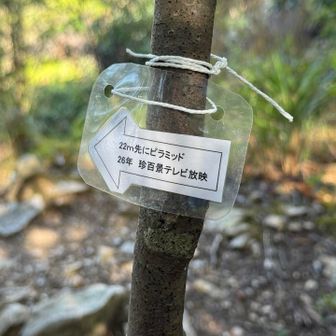 珍百景でやっていたとは😳