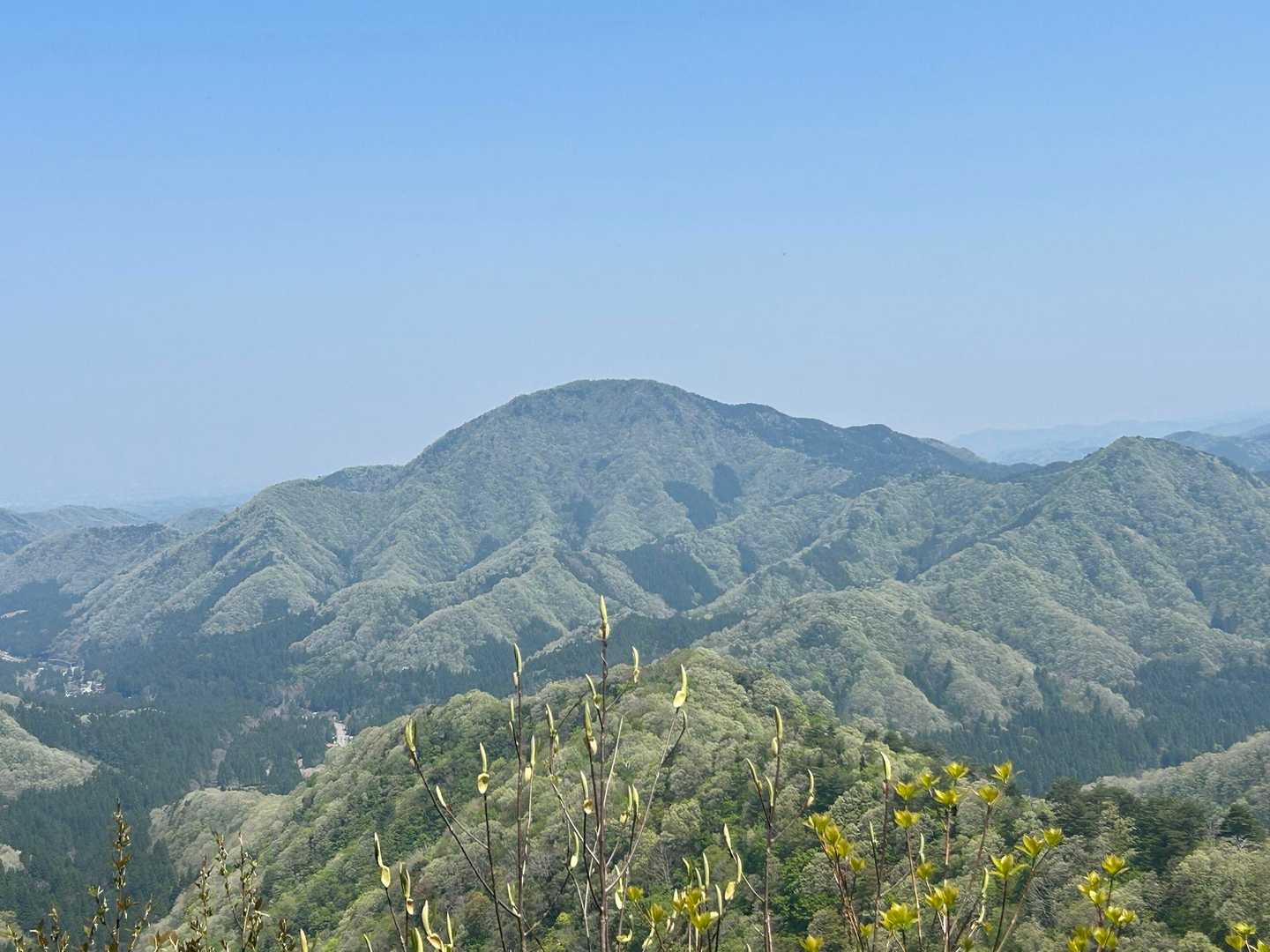 動山