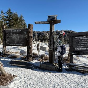 写真でよく見るキツツキ
こんなにデカかったとは知らんかった😆