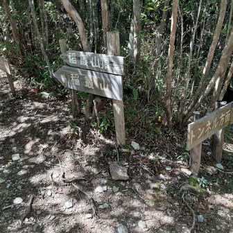 向かって右に３本と左に一本に分かれてます
右の真ん中から登ってきて右の右端が頂上でまた降りてきて今度は右のトンネル口への方面にあるいて西門山まで