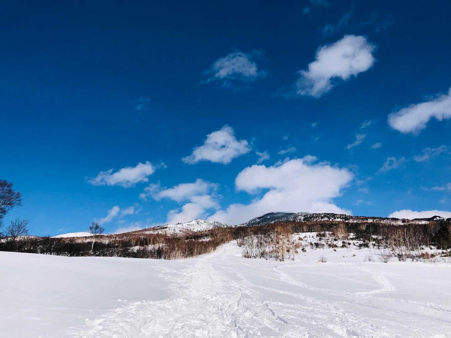 楽しかったー
