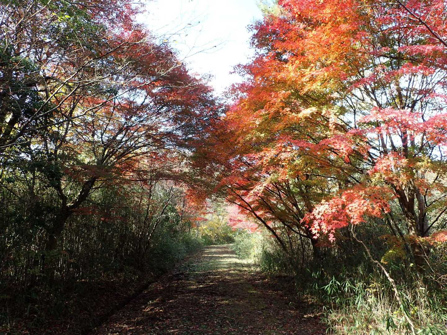 竜吟湖を一周して・・・