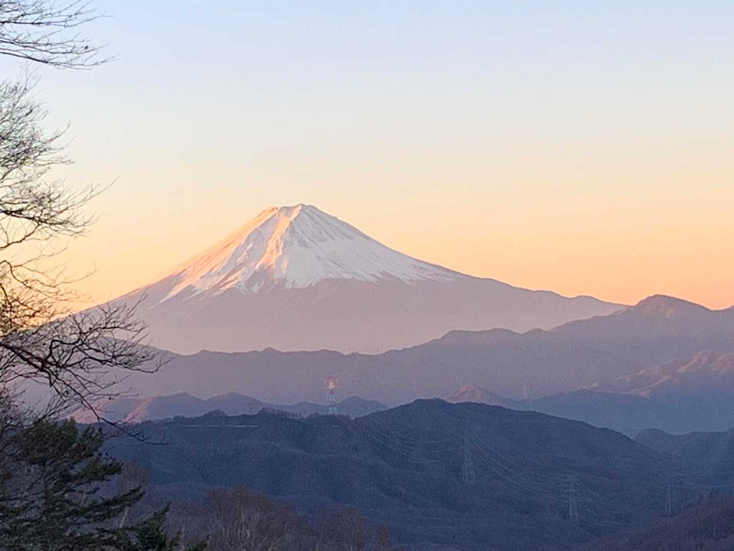 綺麗なお姿、今日もありがとう