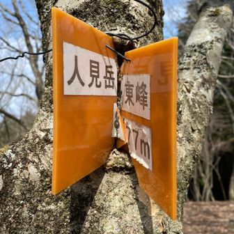 やっと人見岳東峰とおちゃく